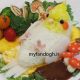 cockatiels-food