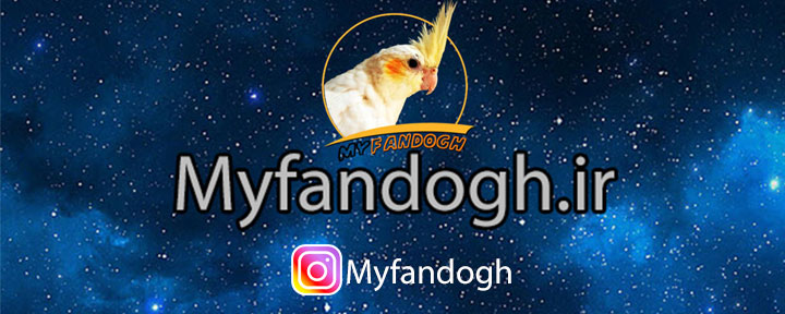 myfandogh03