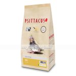 سرلاک طوطی سانان کوچک و متوسط جثه مینی سیتاکوس psittacus mini hand feeding