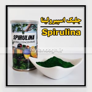 جلبک اسپیرولینا Spirulina algae