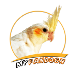 FANDOGHLOGO-300x300-min