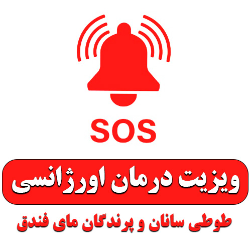 ویزیت درمان اورژانسی طوطی سانان و پرندگان مای فندق