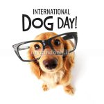 روز جهانی سگ