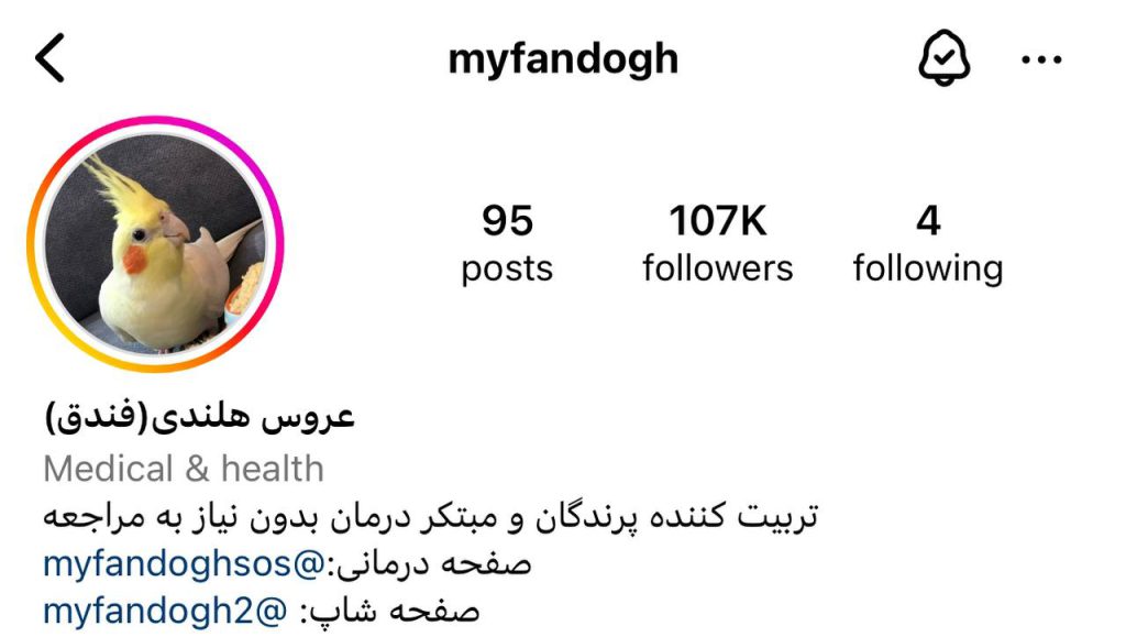 instagram Myfandogh