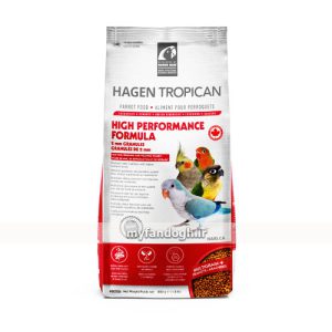 پلت تقویتی مینور هاگن HAGEN Tropican High Performance Minor