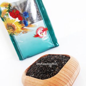 دانه نیجر برای پرندگان و انسان Niger seed