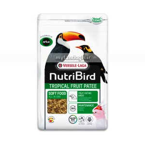 پاته میوه گرمسیری مرغ مینا و پرندگان حشره خوار و میوه خوار ورسلاگا