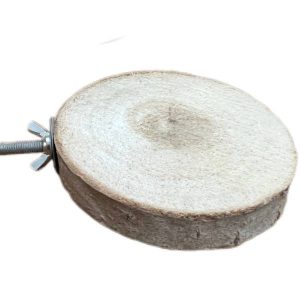 نشیمن کالباسی