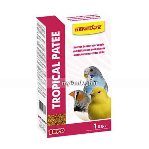پته تخم مرغ میوه ای بنلوکس Benelux TROPICAL PATEE
