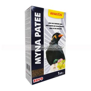پته میوه ای مرغ مینا، پرندگان حشره خوار و میوه خوار بنلوکس Benelux Myna fruit patee
