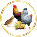 Poultry