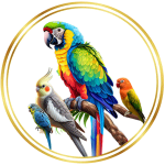 parrot