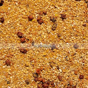 یونی پاته تووو مرغ مینا و پرندگان حشره خوار و میوه خوار دلی نیچر