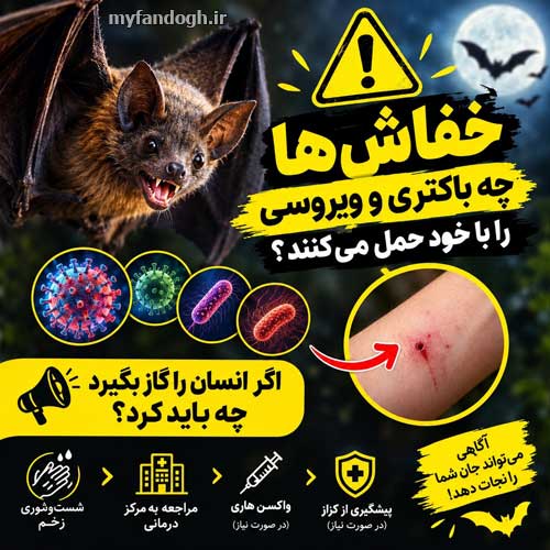 بیماری های قابل انتقال از خفاش به انسان
