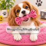 اسباب‌ بازی دندانی سگ چیست