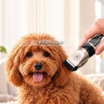 نکات مهم استفاده از موزر حیوانات خانگی